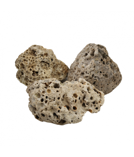 Natural Color Aquarium Dead Coral Rock- 15-25cm (kg)