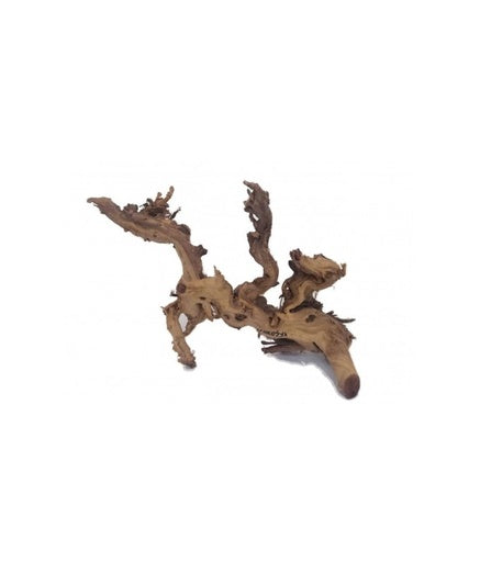 Natural Color Stylish Mangroove for Aquarium, 20-60cm (kg)[Size - 20-60cm]