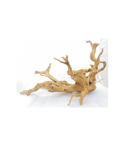 Natural Color Stylish Mangrove for Aquarium, 40-80cm (kg)[Size - 40-80cm]