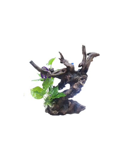 Yusee Aquarium Decoration YS-19515[Dimension - 26.5x16.5x28cm]