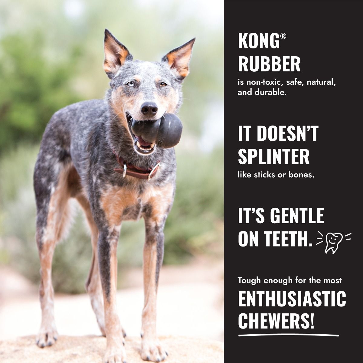 Kong Extreme Dog Toy - S