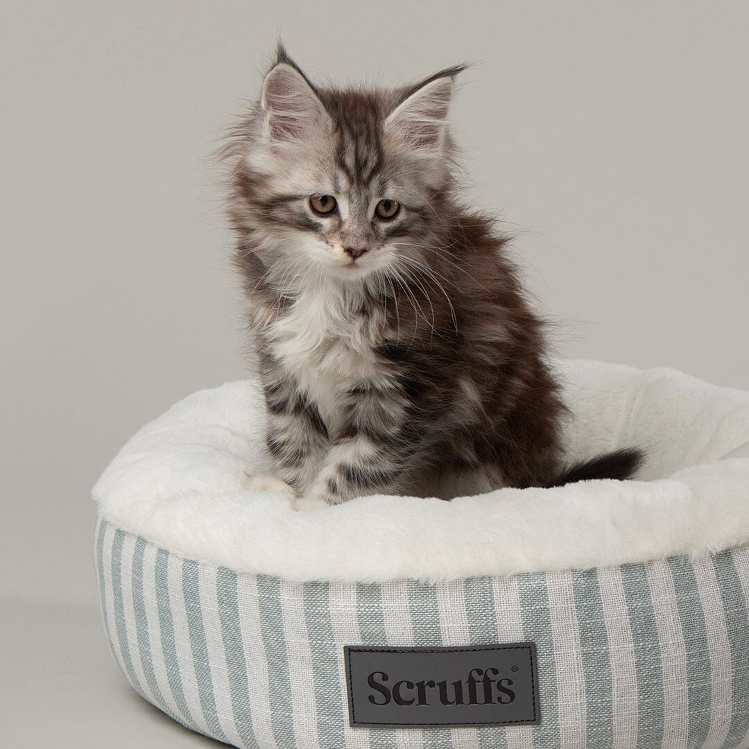 Scruffs Coastal Cat Bed - Green Small