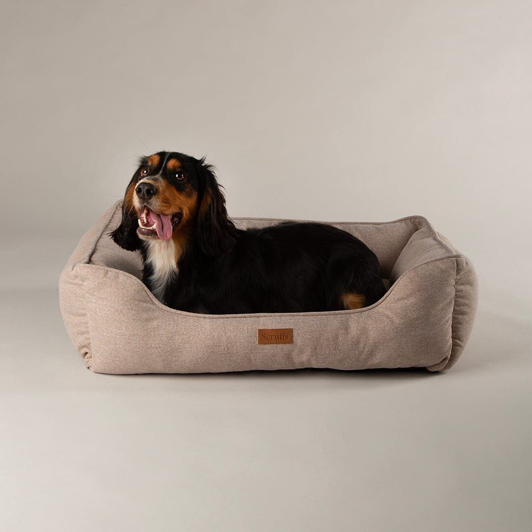 Scruffs Harmony Box Dog Bed - Tan X-Large