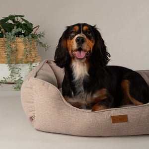 Scruffs Harmony Box Dog Bed - Tan X-Large