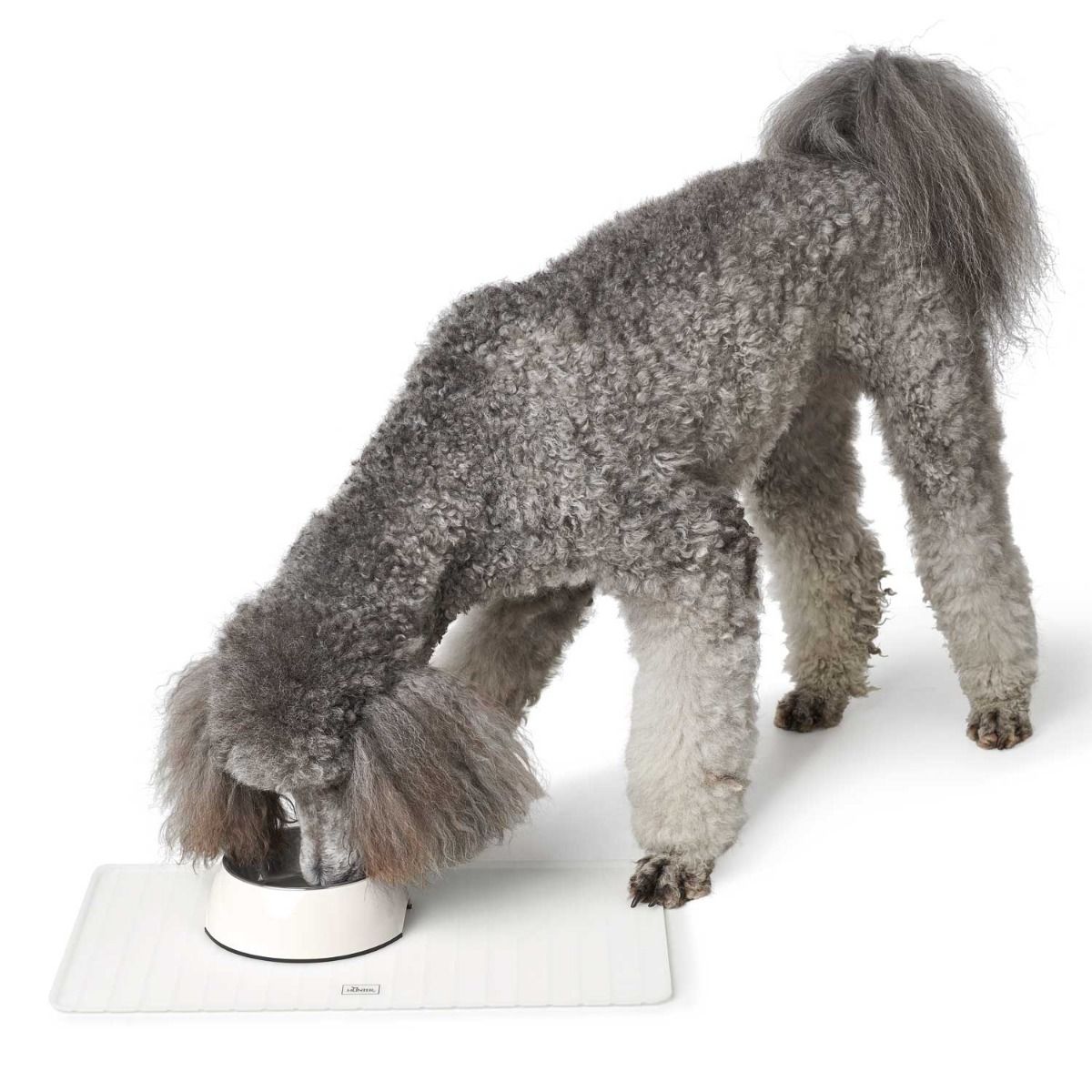 Hunter Selection Foldable Food Bowl Base 50x30cm - Transparent