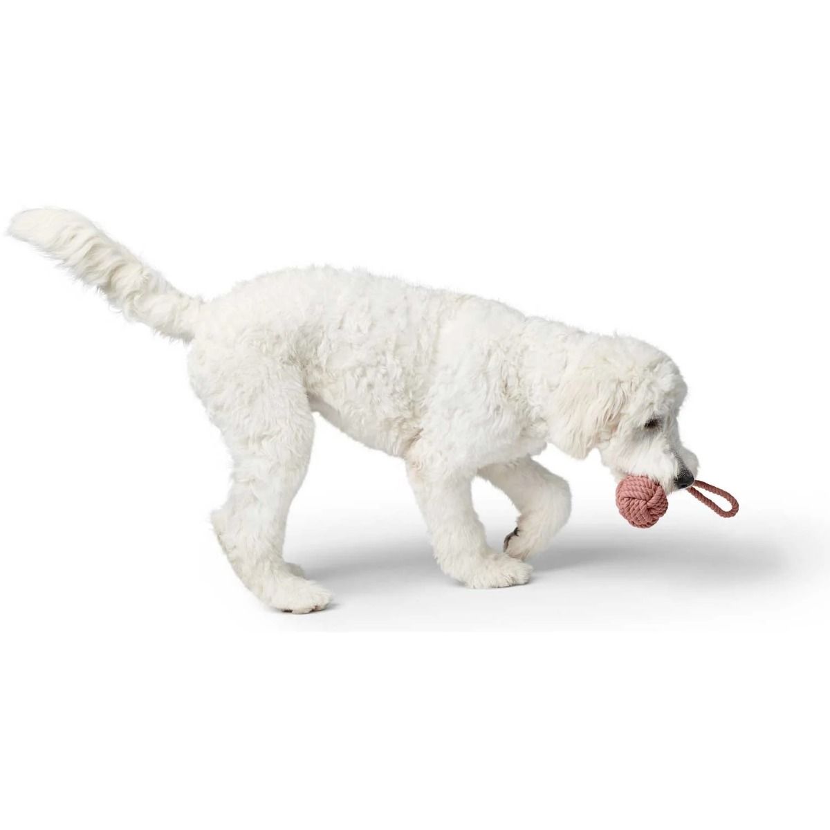 Hunter Inari Ball with Handloop Dog Toy - Pastel Red 6CM