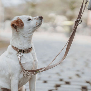 Hunter Inari Vario Basic Alu-Strong Dog Collar - Beige Large