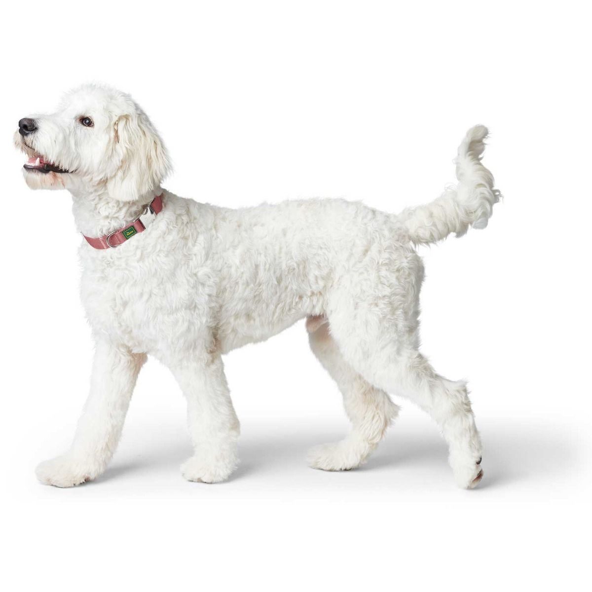 Hunter Inari Vario Basic Alu-Strong Dog Collar - Pastel Red Medium