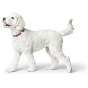 Hunter Inari Vario Basic Alu-Strong Dog Collar - Pastel Red Medium
