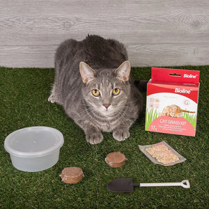 Bioline Catgrass Kit 12g[Weight - 12g, Dimension - 5.4 x 13.4 x 12.2cm]