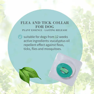 Bioline Flea and Tick Collar for Dogs - 60cm[Length - 60cm, Weight - 34g]
