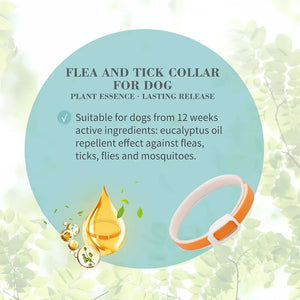 Bioline Flea and Tick Dog Collar 60cm[Flavor - Eucalyptus & Lemon]