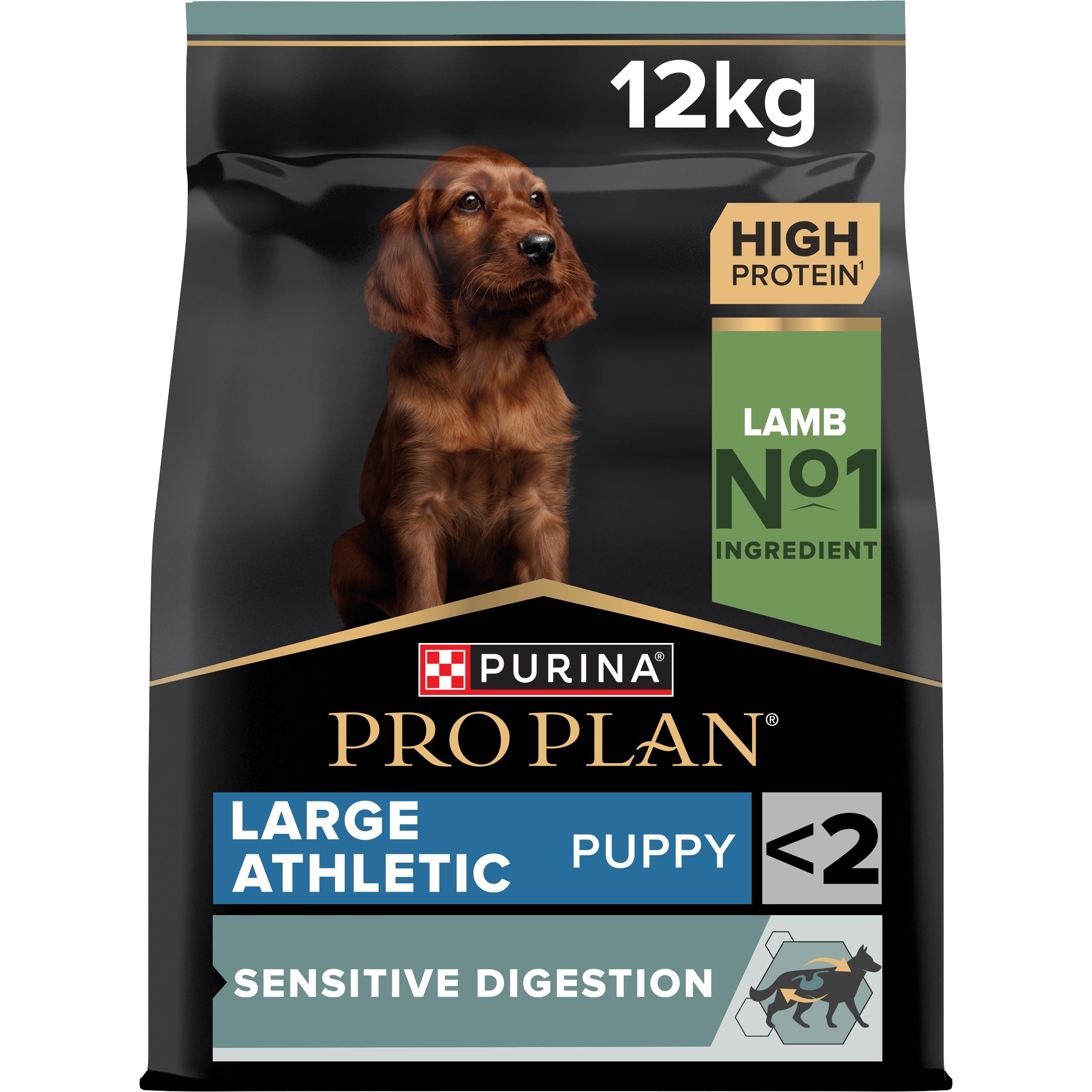 PRO PLAN LARGE ATHLETIC PUPPY, DRY DOG FOOD WITH LAMB, 12 KG