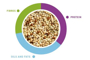Padovan Naturalmix Cocorite[Weight - 5kg]