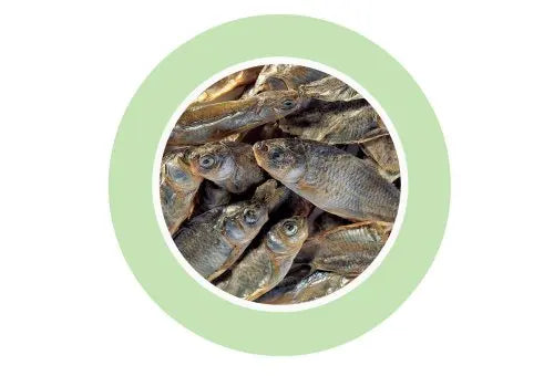 Padovan Fishes 160gm
