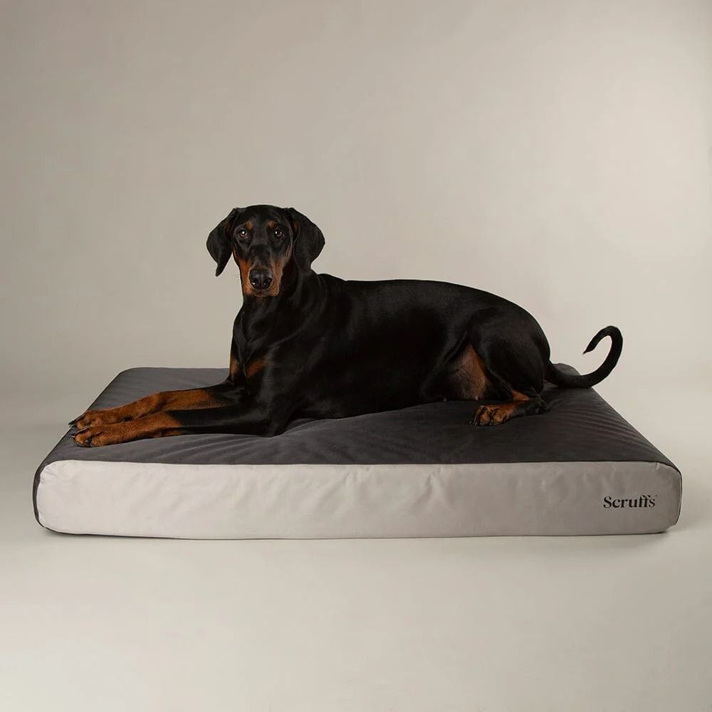 Scruffs ArmourDillo Orthopaedic Dog Bed - Grey X-Large