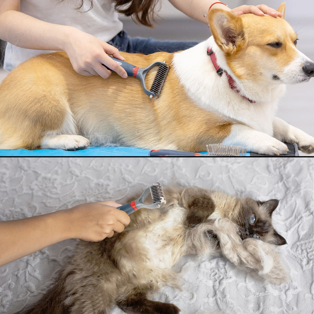 Photo inspiration: Picture Idea: Dual Head Dematting Comb 17 Teeth For Dogs Cats