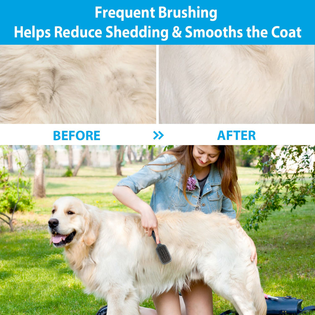 Double-Sided Brush Nylon Bristles & Pins for Dogs and Cats