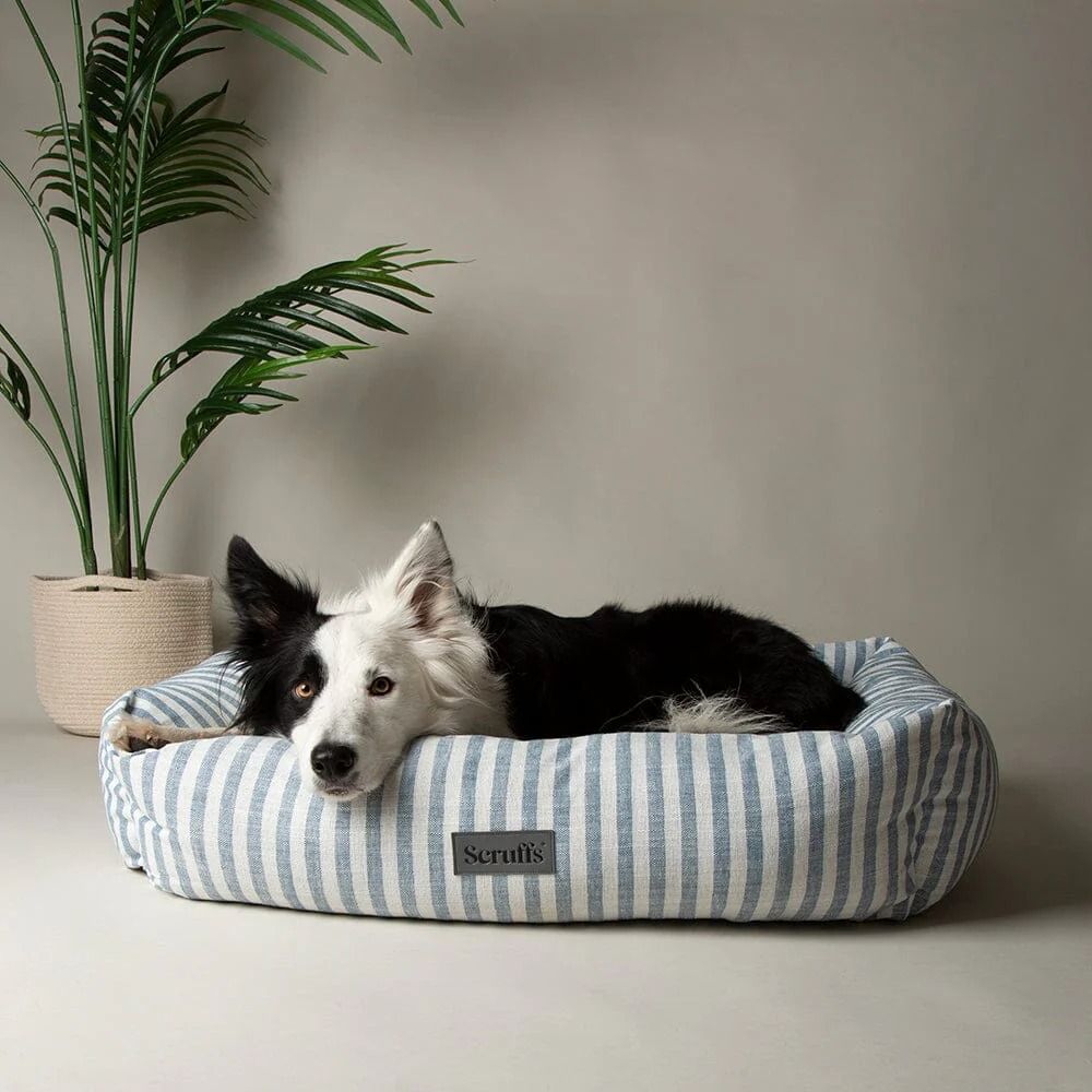 Scruffs Coastal Box Dog Bed - Blue Large