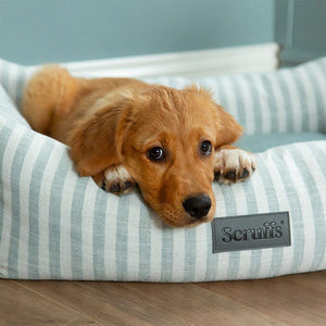 Scruffs Coastal Box Dog Bed - Green Large