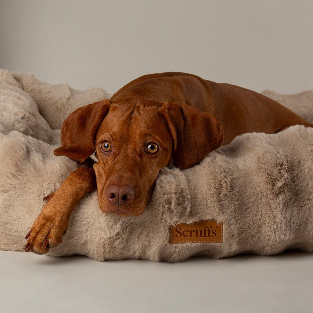 Scruffs Alpine Box Dog Bed - Champagne Large