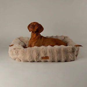 Scruffs Alpine Box Dog Bed - Champagne Large