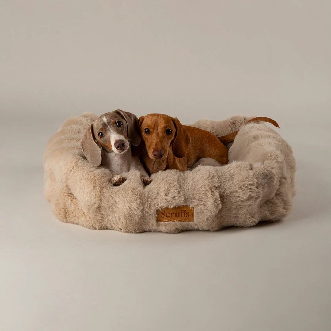 Scruffs Alpine Box Dog Bed - Champagne Medium