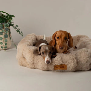 Scruffs Alpine Box Dog Bed - Champagne Medium