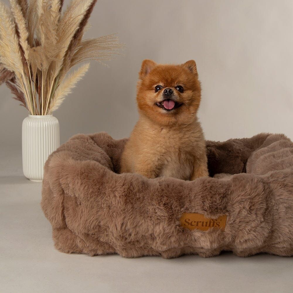 Scruffs Alpine Box Dog Bed - Taupe X-Large