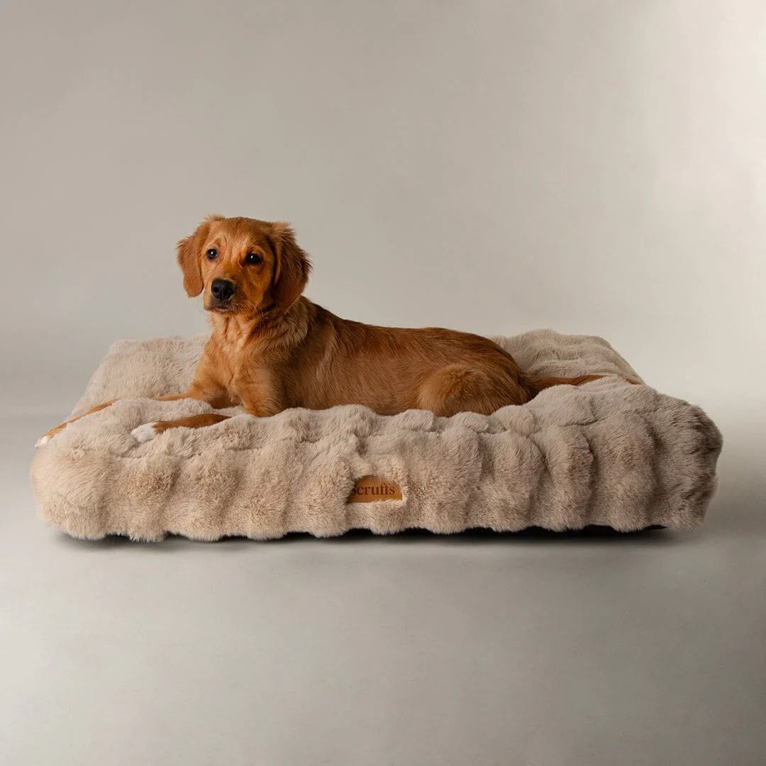 Scruffs Alpine Dog Mattress - Champagne X-Large