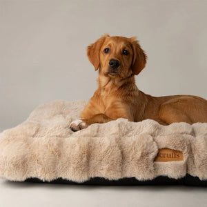 Scruffs Alpine Dog Mattress - Champagne X-Large