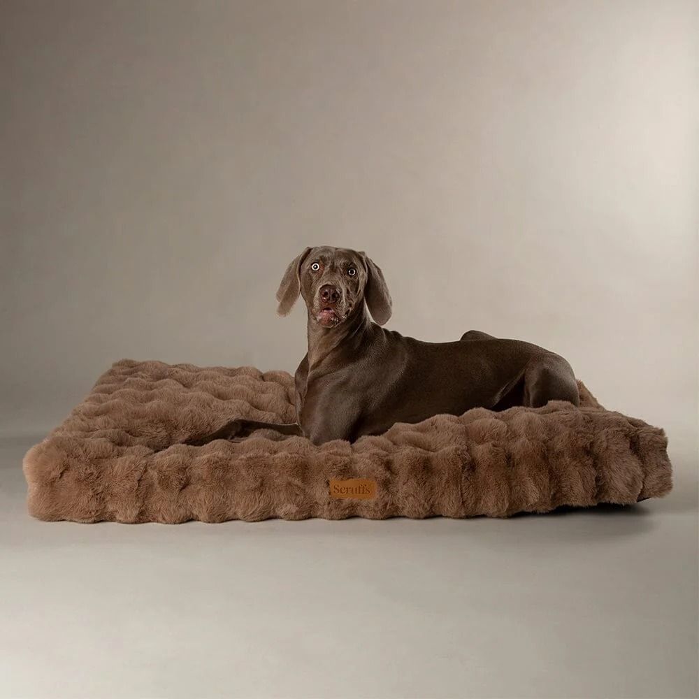 Scruffs Alpine Dog Mattress - Taupe X-Large