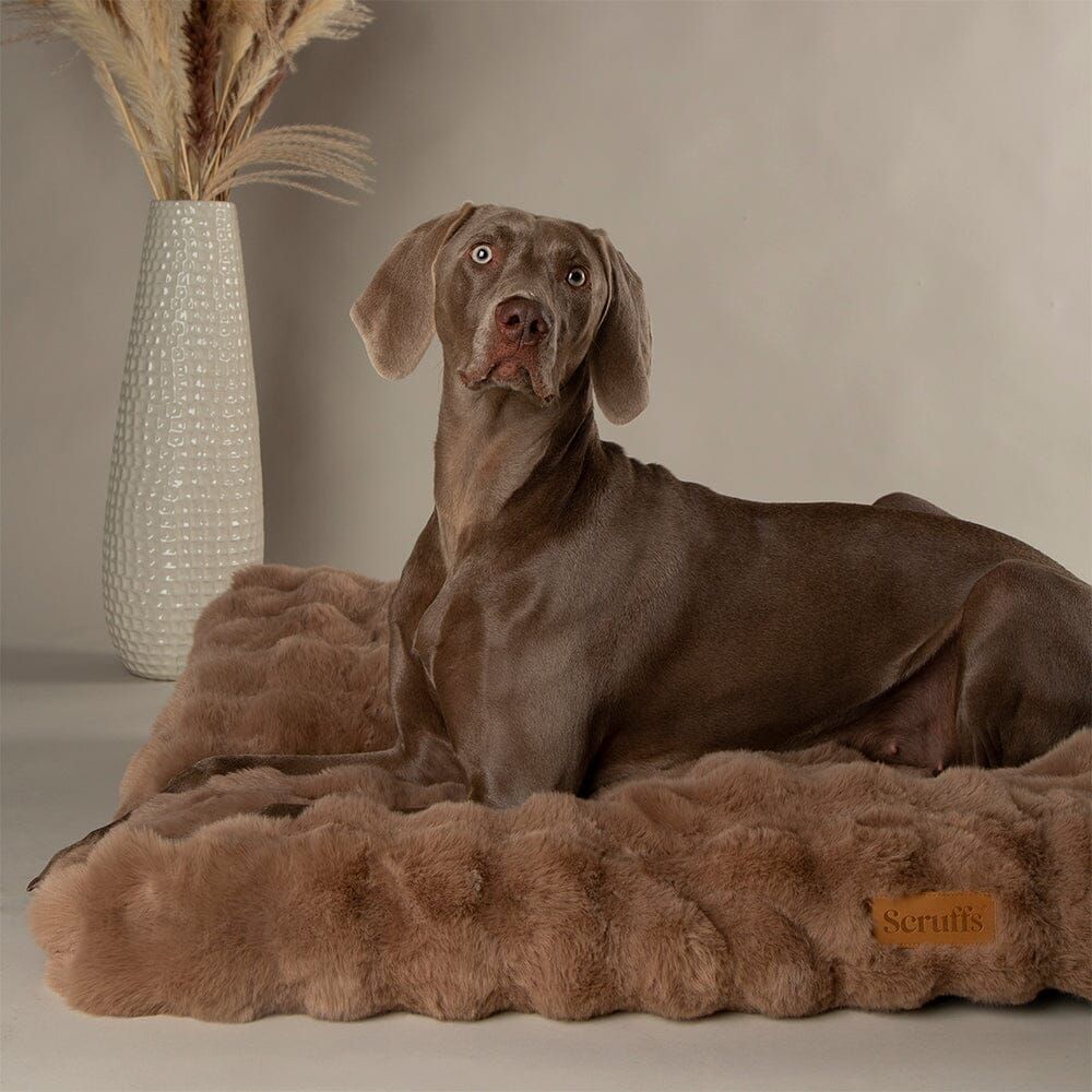 Scruffs Alpine Dog Mattress - Taupe Medium