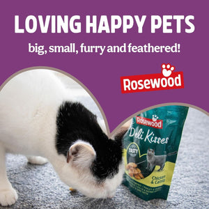 Rosewood Pick'n' Mix Seafood Mix Cat Treat 180g Value Pack - 180G