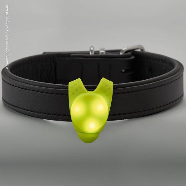 Hunter LED Silicon Dog Blinker  -
