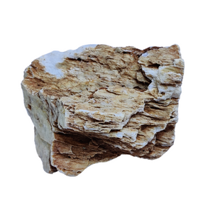 Aqualife Chicken Bone Stone-Per Kg