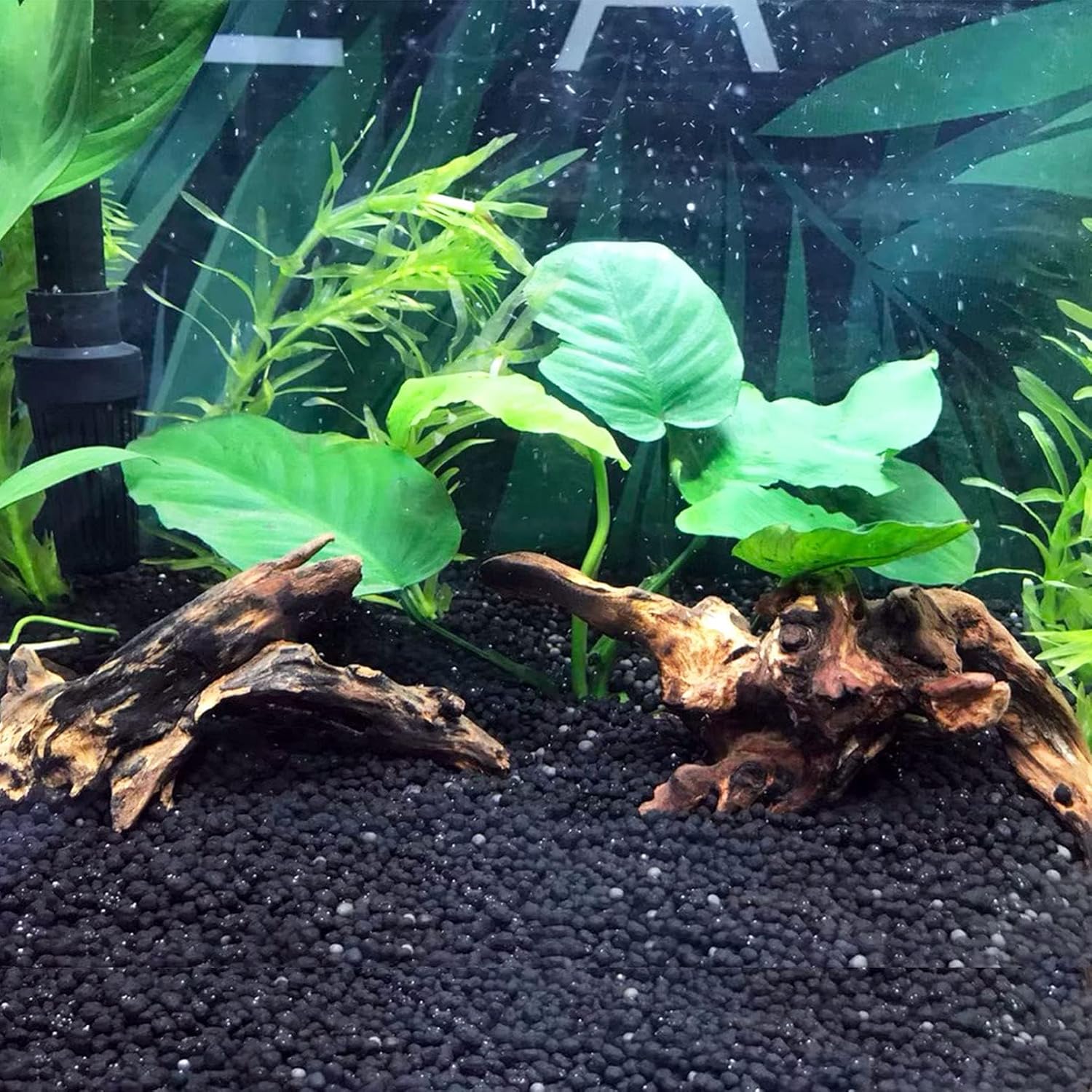 Aqualife Small Red Sunken Wood-Per Kg