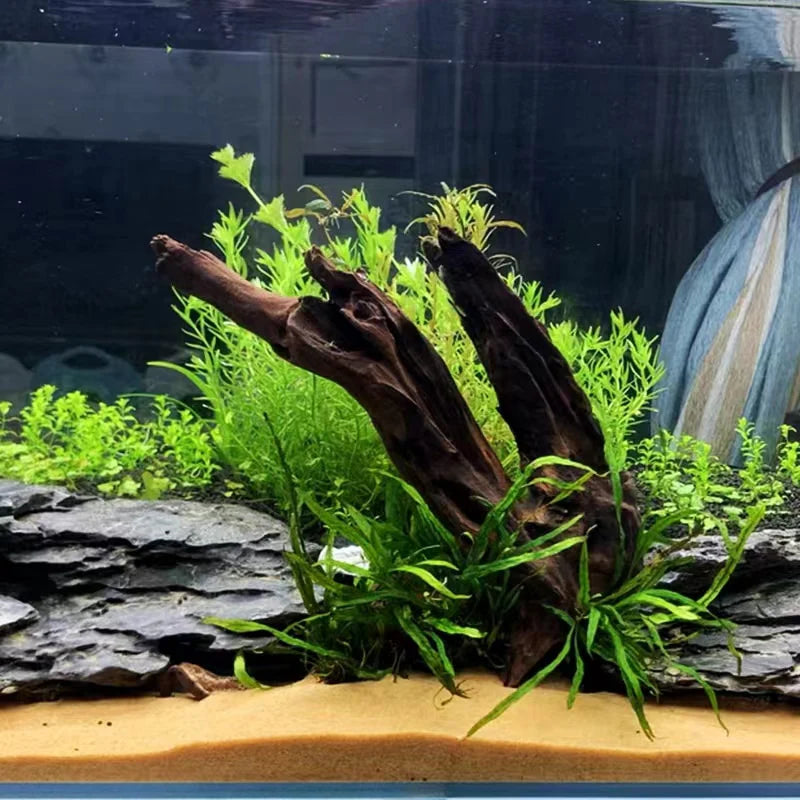 Aqualife Sunken Wood-Per Kg