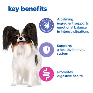 Hill’s Vet Essentials  Multi- Benefit +Calm Small Mini Adult Dog Food with Chicken (2KG)