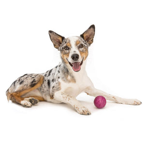 Westpaw Design – Boz Dog Ball - large - currant