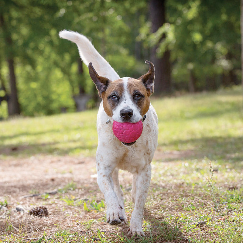 Westpaw Design – Boz Dog Ball - small - dandelion