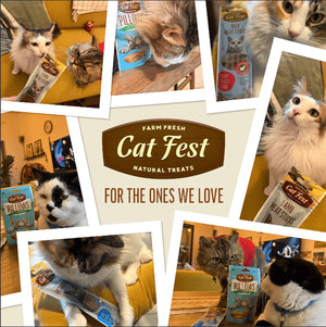 Cat Fest Pillows With Chicken Cream[Weight - 30g]
