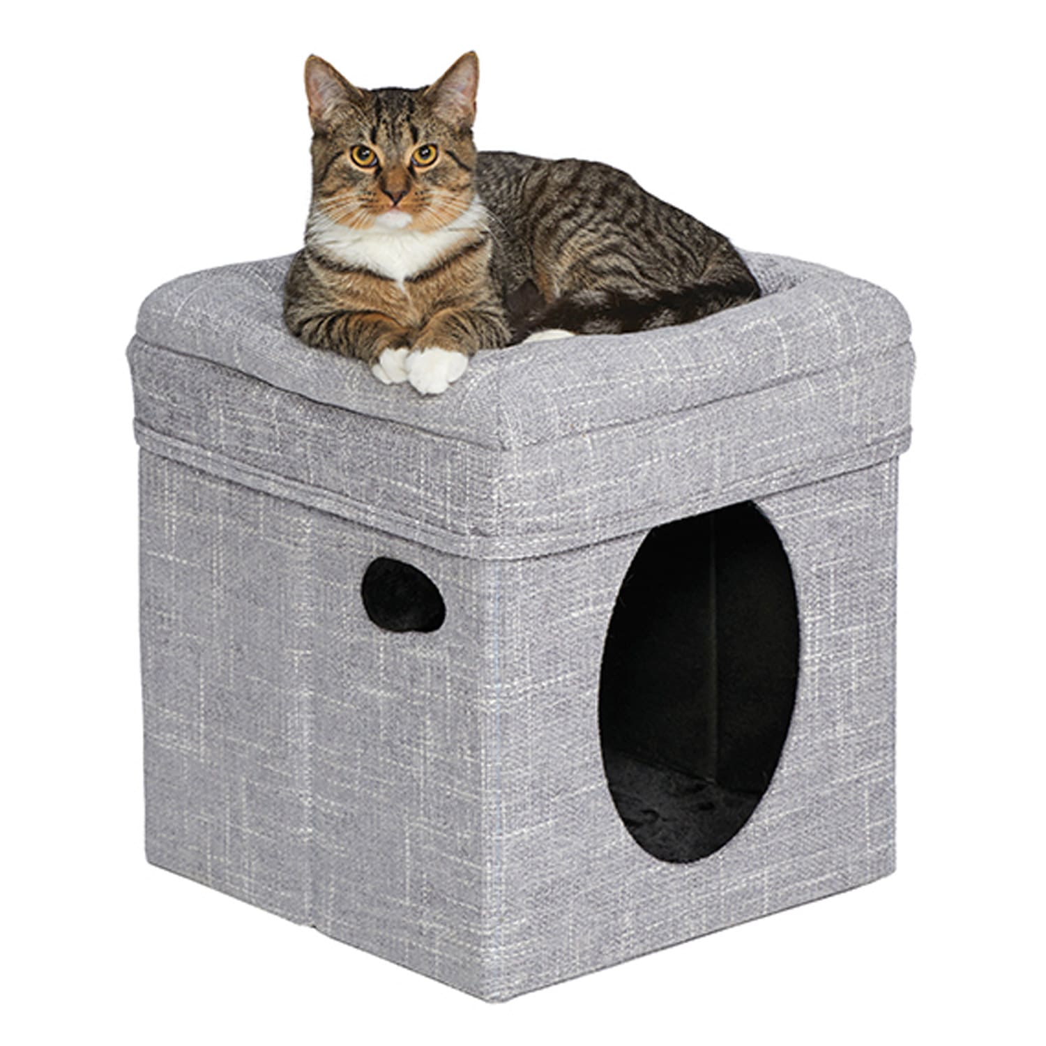 Curious Cat Cube – Silver