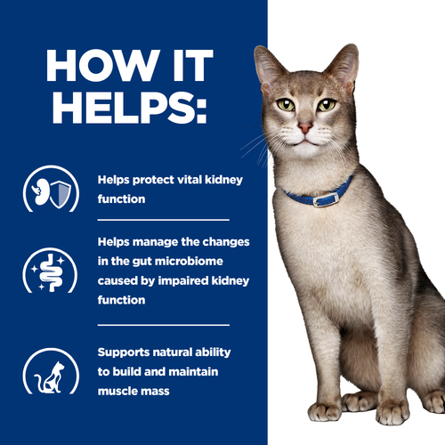Hill’s Prescription Diet Feline k/d with Salmon (3kg)