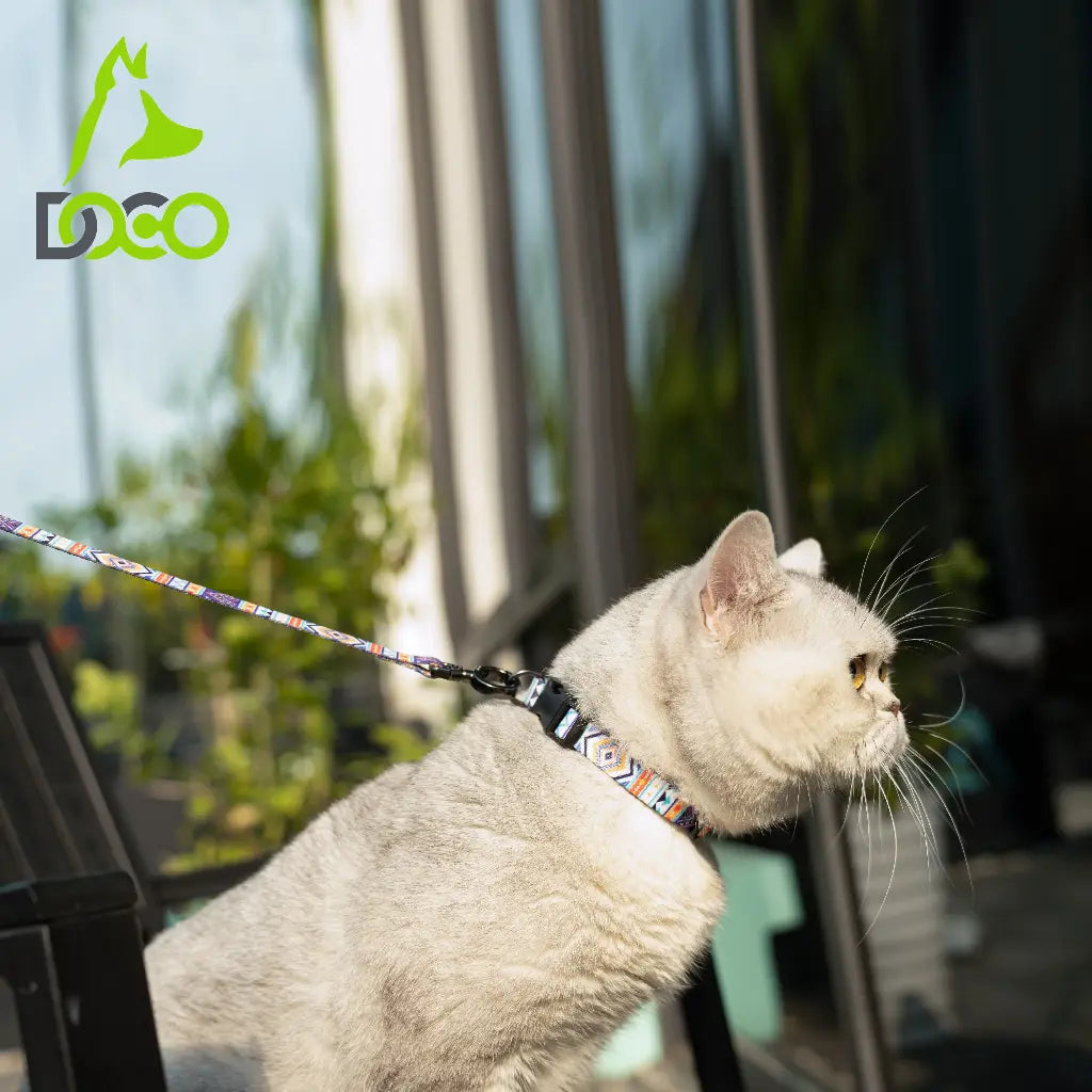 DOCO® Heat Transfer Cat/Dog Collars X.Small-1.0 X 19-31cm C5