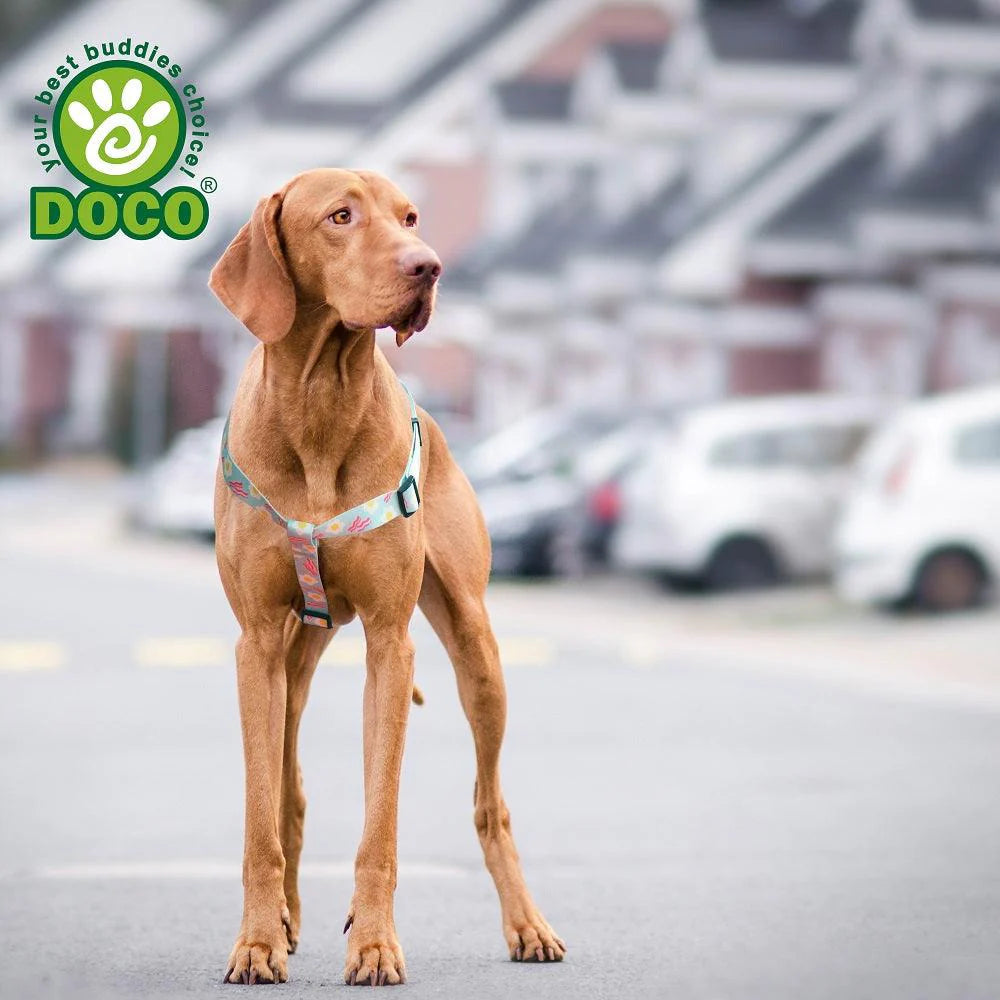 DOCO® LOCO Step-In Harness (DCL202)[Texture - Green Monster, Size - S]