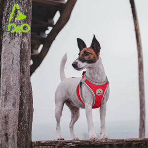 DOCO® NET Mesh Sport Harness X.Small-34-36cm / 2-3kg-Maroon