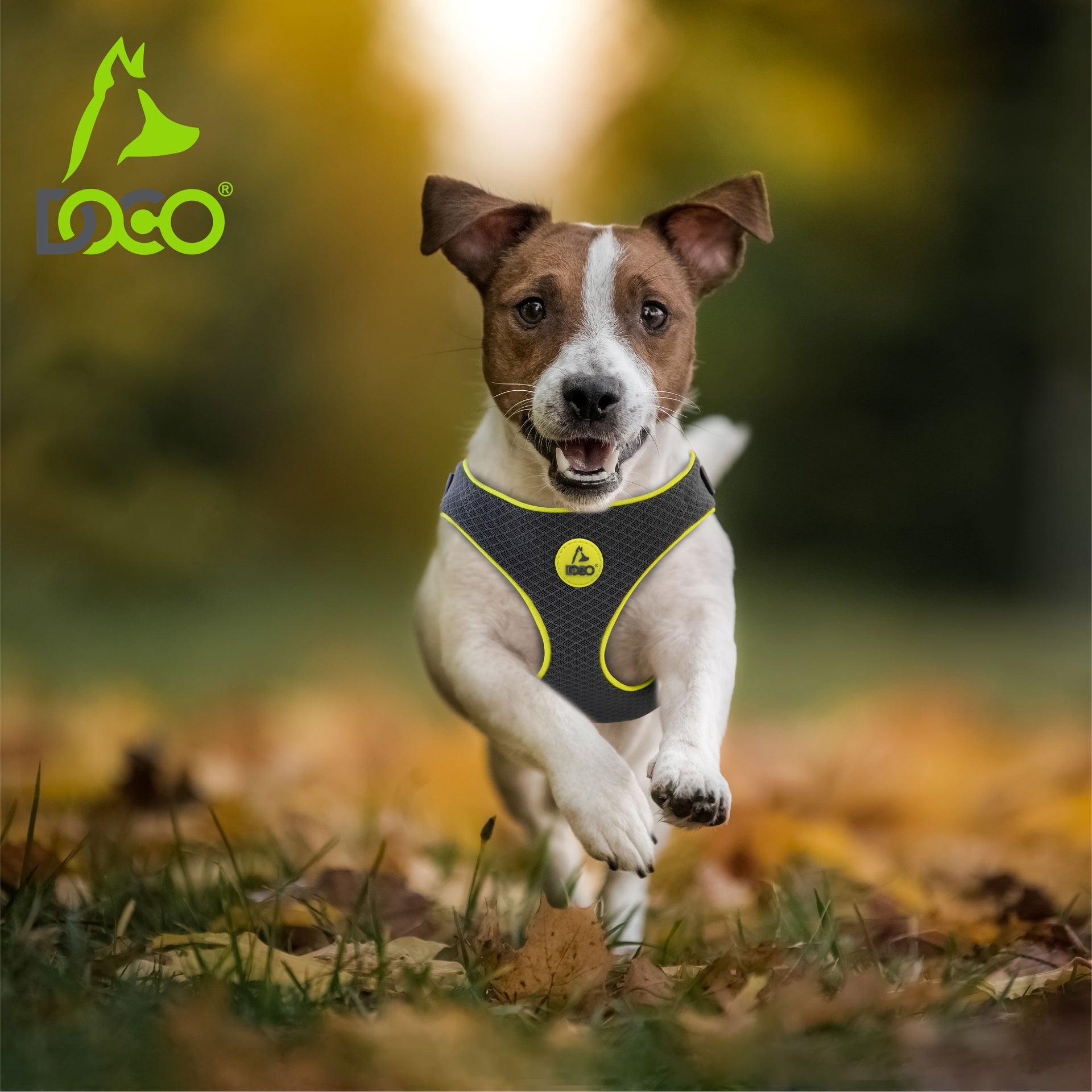 DOCO® Reflective Chest Plate Mesh Free- Walking Harness X.Large-66 x 80-105cm-Turquoise