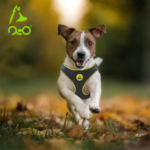 DOCO® Reflective Chest Plate Mesh Free- Walking Harness X.Large-66 x 80-105cm-Turquoise