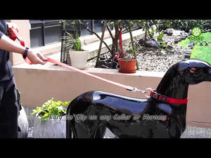 DOCO® Signature Nylon Leash - 4ft-3.8 x 120cm (XL)-Turquoise